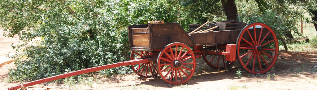 Buckboard Wagon